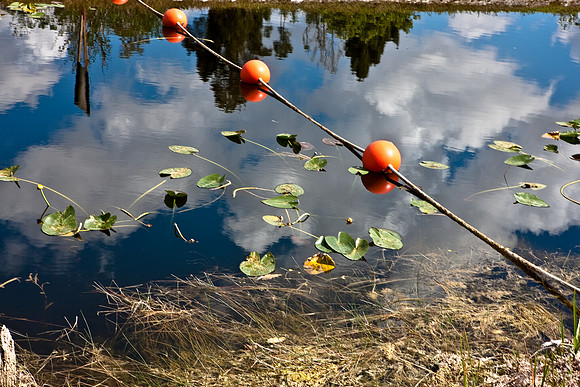 2528_EVERGLADES_MIAMI_FLORIDA_200903016_5L8Y2675