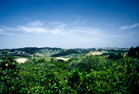 37338_SL_COLOR_ITALY_2000_1