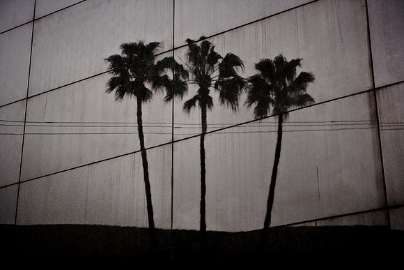06617_DG_CALIFORNIA_USA_2007_ZV4N_9305