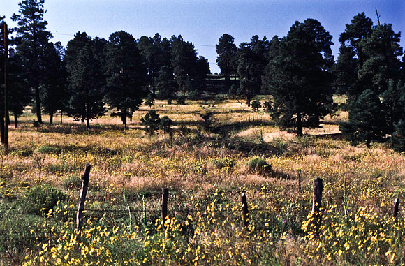 47795_B13_SL_COLOR_EL_MORRO_NAT_PARK_NEW_MEXICO_97_3.jpg