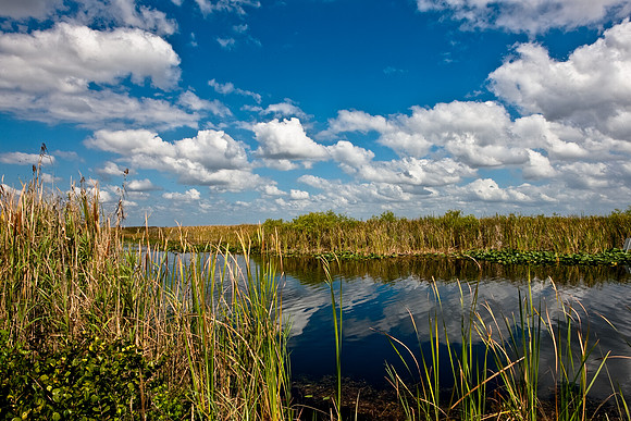 2528_EVERGLADES_MIAMI_FLORIDA_200903016_5L8Y2797