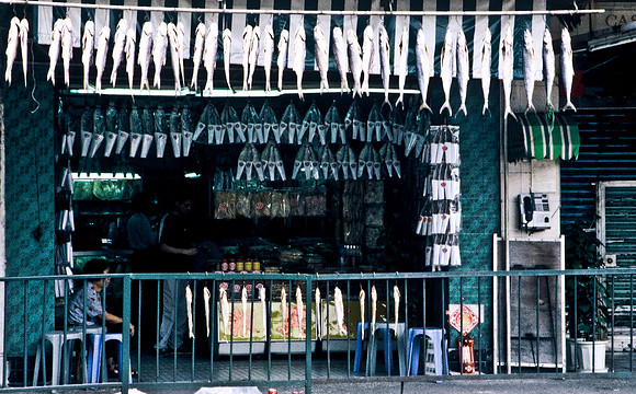 3877_SL_COLOR_AROUND_THE_WORLD_IN_8_MONTHS_APRIL_2000_19