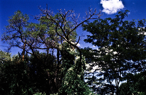 47771_B13_SL_COLOR_SANTA_FE_NEW MEXICO_97_14.jpg