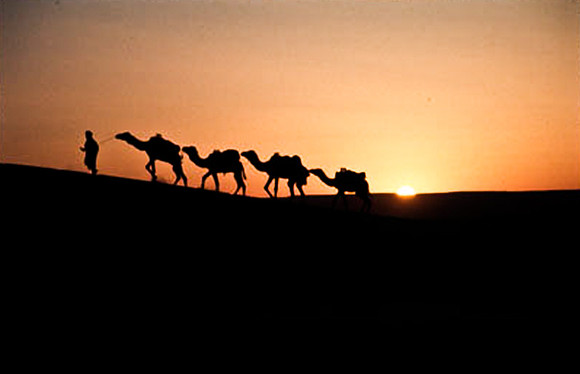 3207_SL_COLOR_MERZOUGA_SHAHARA_MAROCCO_II_1998_10