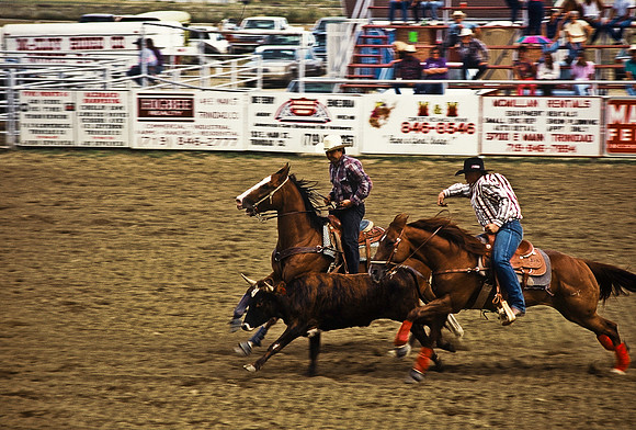 47490_B6_SL_COLOR_TRINIDAD_RODEO_CO_97_10.jpg