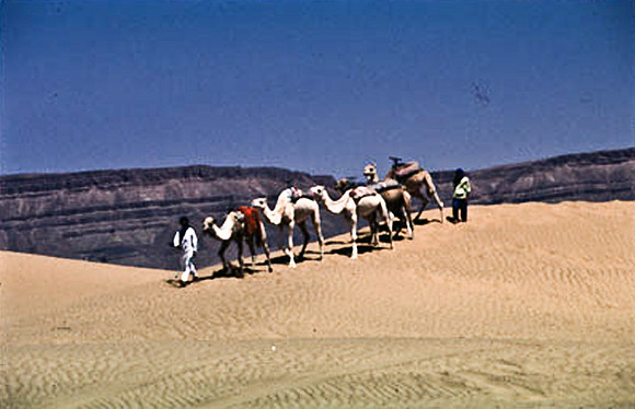 3191_SL_COLOR_TAMGROUTE_DUNES_MAROCCO_II_1998_13