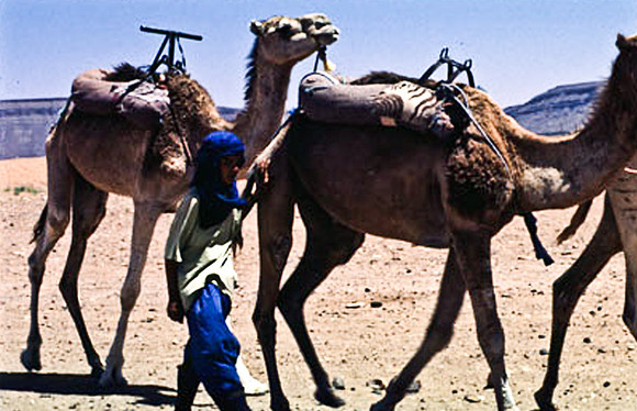 3189_SL_COLOR_TAMGROUTE_DUNES_MAROCCO_II_1998_6