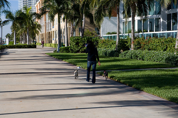 36136_DG_Color_USA_Miami_Beach_FL_Related_GroupZV4N0479
