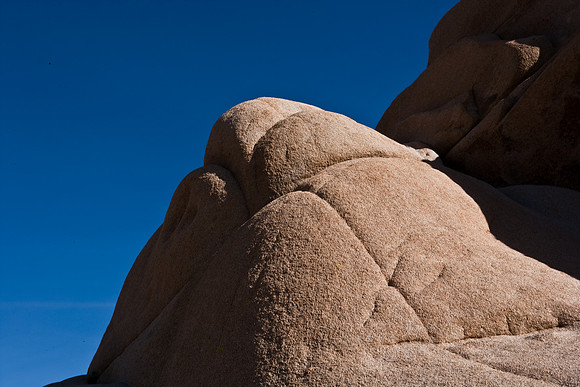 06646_DG_COLOR_JOSHUA_TREE_NAT_PARK_29_PALMS_CALIFORNIA_CA_USA_2007_ZV4N_481