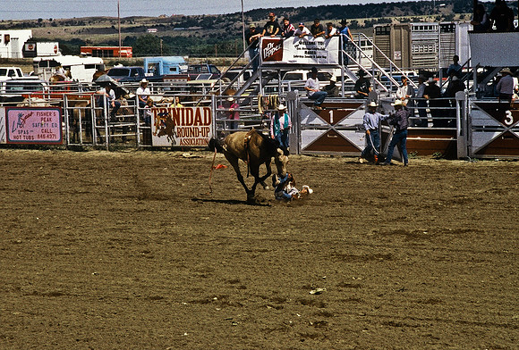 47492_B6_SL_COLOR_TRINIDAD_RODEO_CO_97_17.jpg