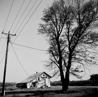 7529_B3P1_4_BW_SQ_KENTUCKY_USA_01_2.jpg