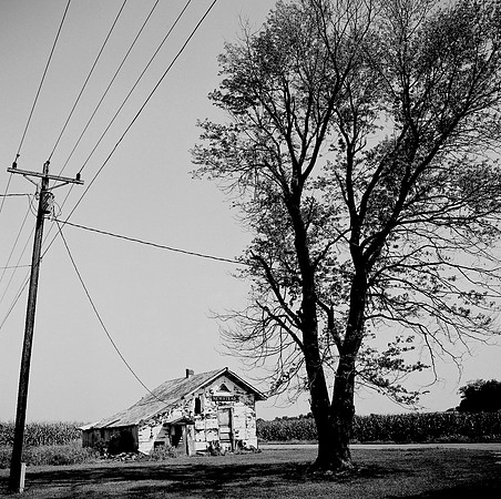 7529_B3P1_4_BW_SQ_KENTUCKY_USA_01_2.jpg
