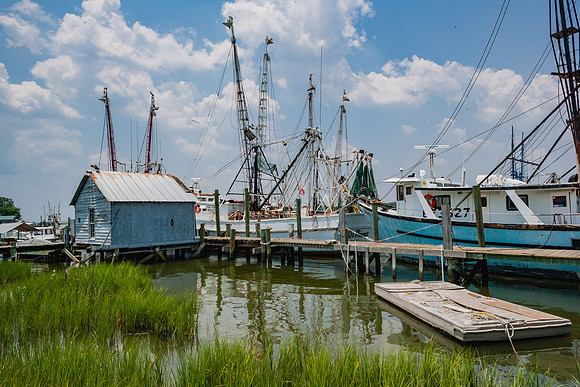 20060702_South_Carolina_ZV4N297