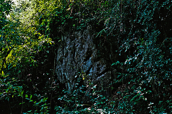 FILM
