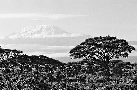 B3_82005_BW_194_New_Masa_Mara_Africa_89_5