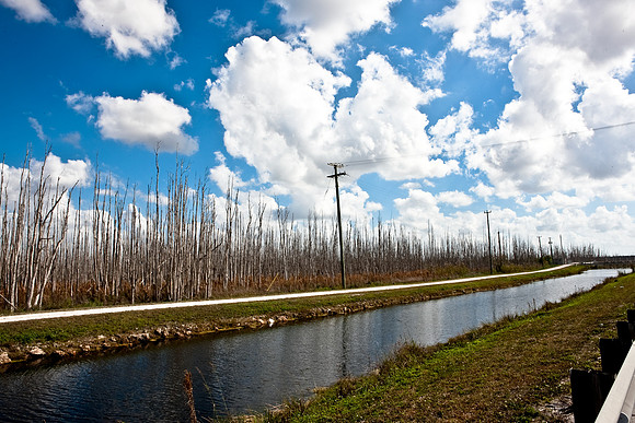 2528_EVERGLADES_MIAMI_FLORIDA_200903016_5L8Y2651