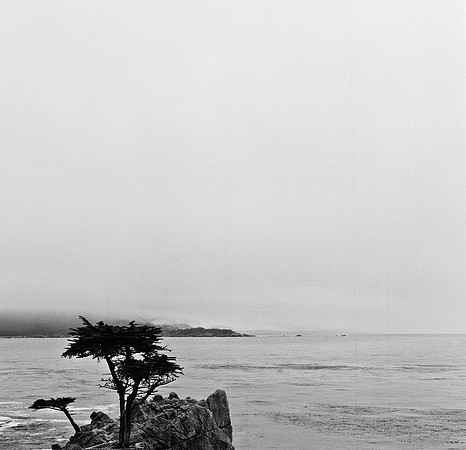 2367_FM_BW_CARMEL_CA_02_5.jpg