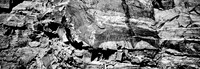7569_FM_BW_XPAND_ARIZONA_01_5.jpg