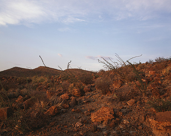 4000_20080719_ADS_Mexican_Landscape_Mexico_104