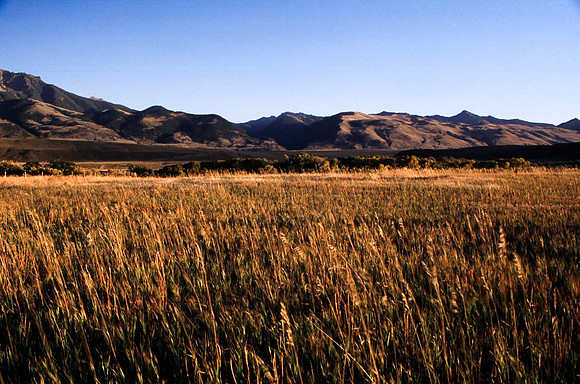 06729_B9_SL_COLOR_PINE_CREEK_MO_97_07.jpg