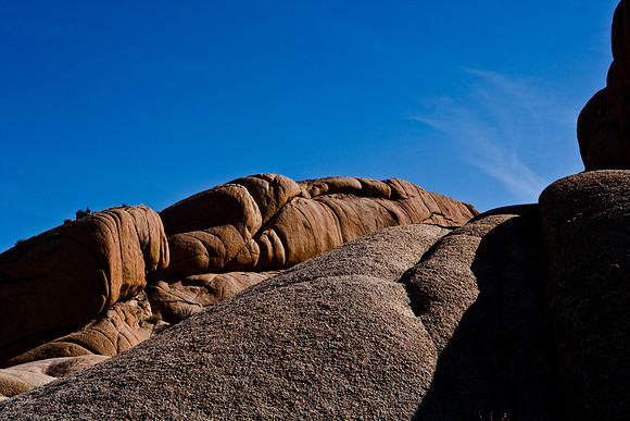 06646_DG_COLOR_JOSHUA_TREE_NAT_PARK_29_PALMS_CALIFORNIA_CA_USA_2007_ZV4N_476