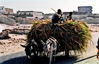 3346_SL_COLOR_ASWAN_EGYPT_1989_11