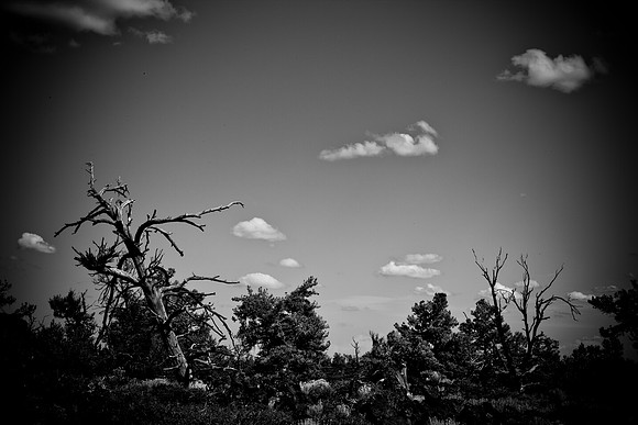 0020_Wyonming_To_Ketchem_Sun_Valley_ID_5L8Y7799