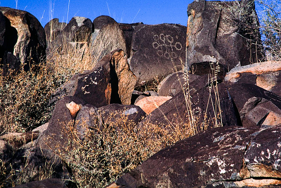 47899_B16_SL_COLOR_TREE_RIVER_PETROGLYTH_NAT_RES_NAT_MNT_HWY LOOP20_NM_97_0707.jpg