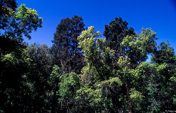 37874_B15_SL_COLOR_TAOS_TO_EMBUDA_TO_BANDELIER_NM_97_13.jpg