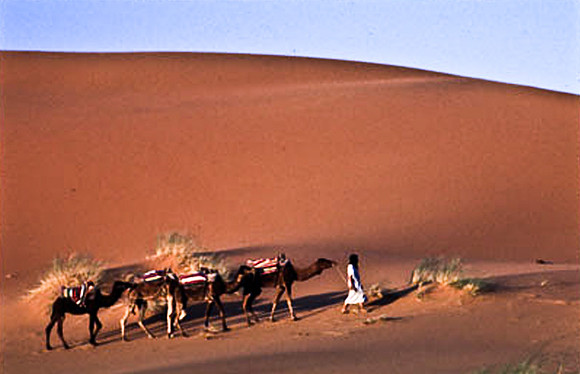 3209_SL_COLOR_MERZOUGA_SHAHARA_MAROCCO_II_1998_3