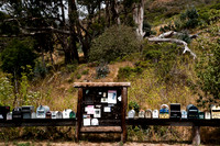 06583_ZV4N_3767_DG_COLOR_HWY_1_MILES_AFTER_NICKS_COVE_CALIFORNIA_CA_USA_2007_