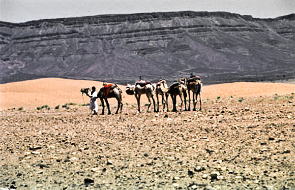 3190_SL_COLOR_TAMGROUTE_DUNES_MAROCCO_II_1998_17