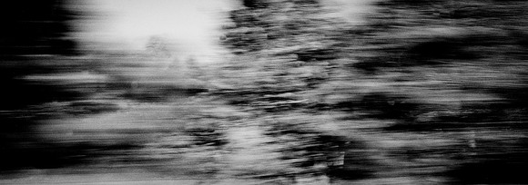 53515_FM_BW_XPAN_MENDECINO_CA_02_53.jpg