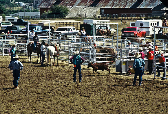 47489_B6_SL_COLOR_TRINIDAD_RODEO_CO_97_19.jpg