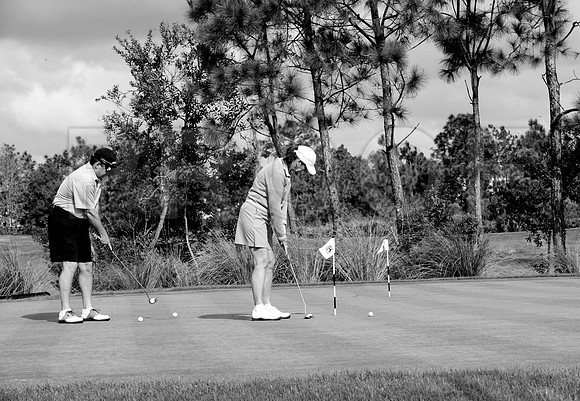 36205_DG_BW_USA_Osceola_County_Celebration_Town_FLZV4N8380