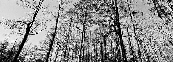 7749_FL_BW_LOUISIANA_01_9.jpg