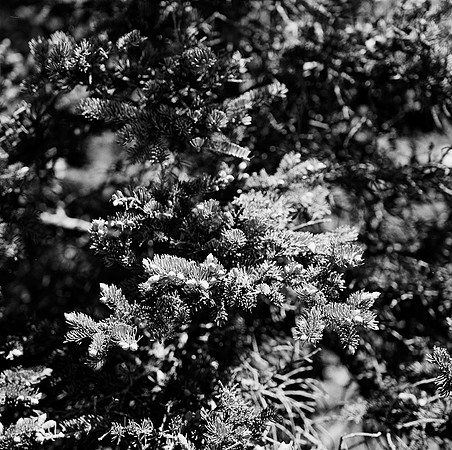 2256_FM_BW_CA_02_1-2.jpg