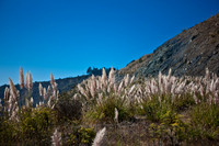 20080904_DVD25_DG_USA_Los_Olivos_CA_4900_full_blead