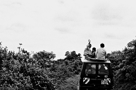 B3_82001_BW_194_New_Safari_Lion_Track_Africa_89_5