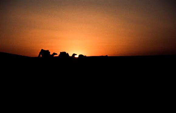 3206_SL_COLOR_MERZOUGA_SHAHARA_MAROCCO_II_1998_19