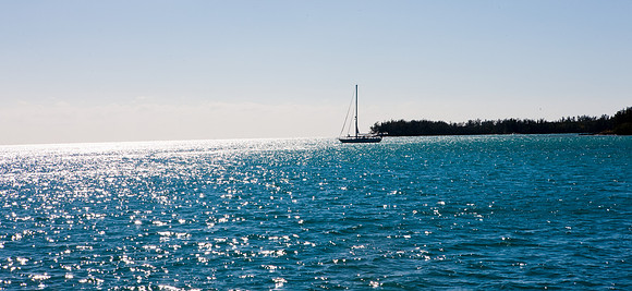 2905_DG_Miami_Key_Biscayne_FL_20090130_5L8Y0053