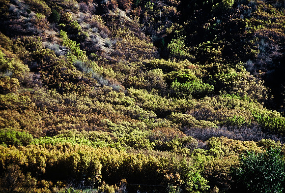 47460_B5_SL_COLOR_FROM_BUENA_VISTA_TO_LEADVILLE_TO_VAIL_COLORADO_WY_97_09.jpg