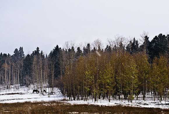 47433_B5_SL_COLOR_ARGOTOWN_HWY40_COLORADO_WY_97_12.jpg