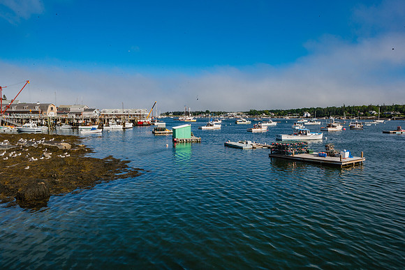 20060628_Maine_ZV4N1177