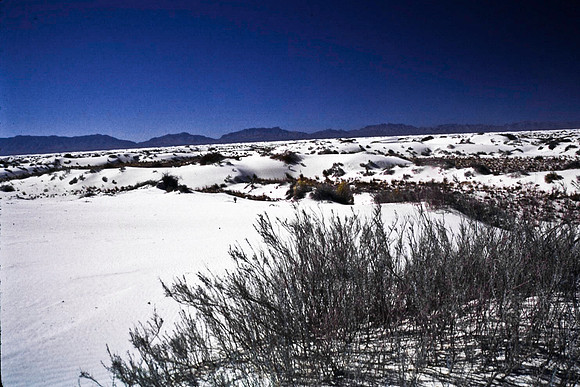 47895_B16_SL_COLOR_LA_MESILLA0_TO_WHITE_SOUNDS_NAT_MNY_HWY20_NM_97_3515.jpg