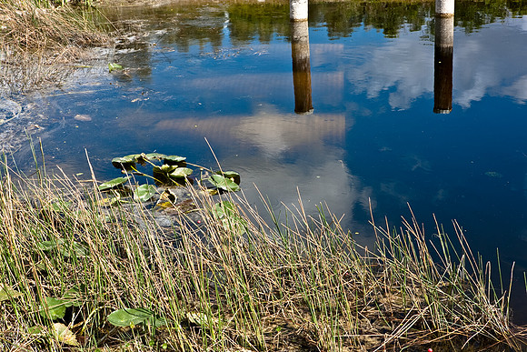 2528_EVERGLADES_MIAMI_FLORIDA_200903016_5L8Y2669