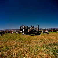 2406_FM_COLOR_ID_02_9.jpg