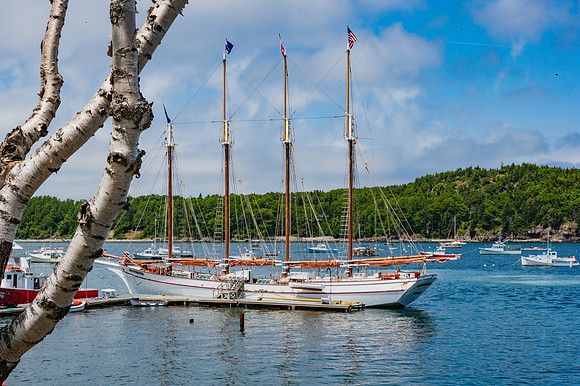20060628_Maine_ZV4N1079