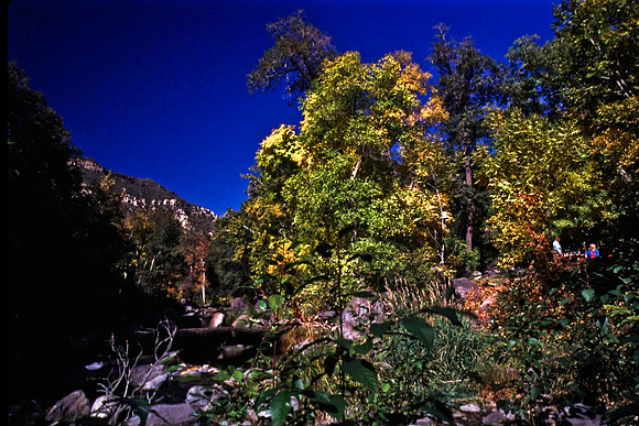 47686_B12_SL_COLOR_FLAGSTAFF TO SEDONA_AZ_97_11.jpg