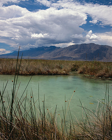 4000_20080719_ADS_Mexican_Landscape_Mexico_134
